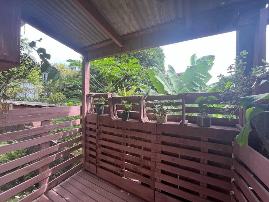 Hostel Pantanal Em Флоріанополіс Екстер'єр фото
